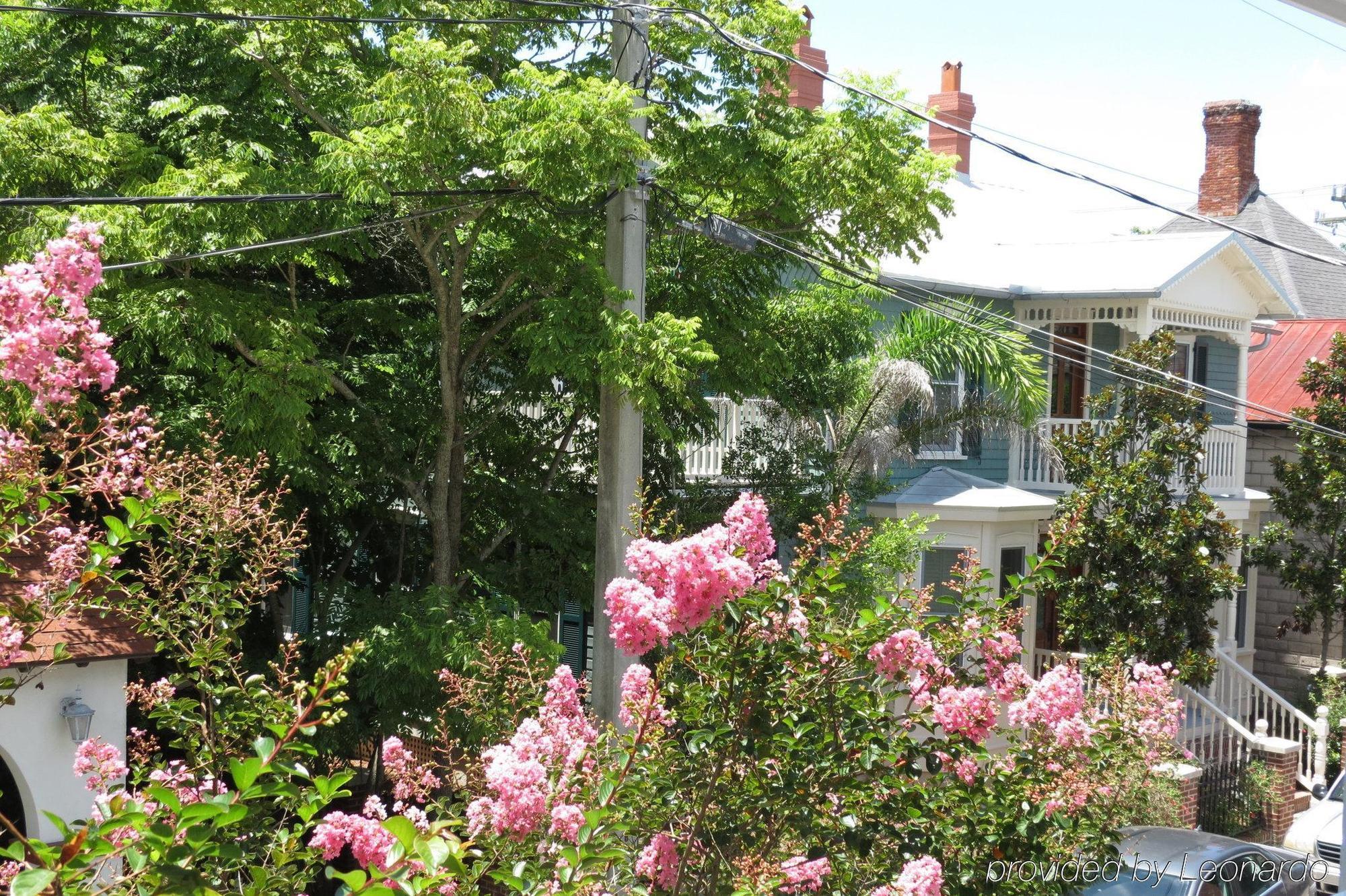 Bayfront Westcott House Bed & Breakfast St. Augustine Exterior photo